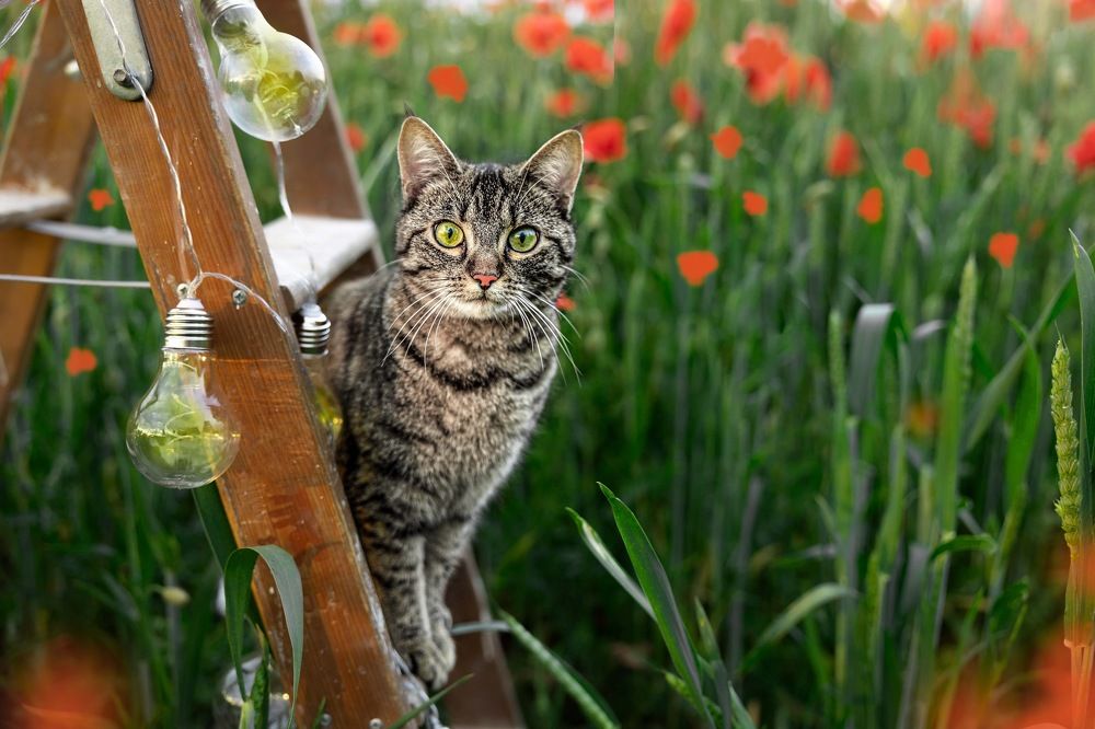 Photograph by Vero Herrero