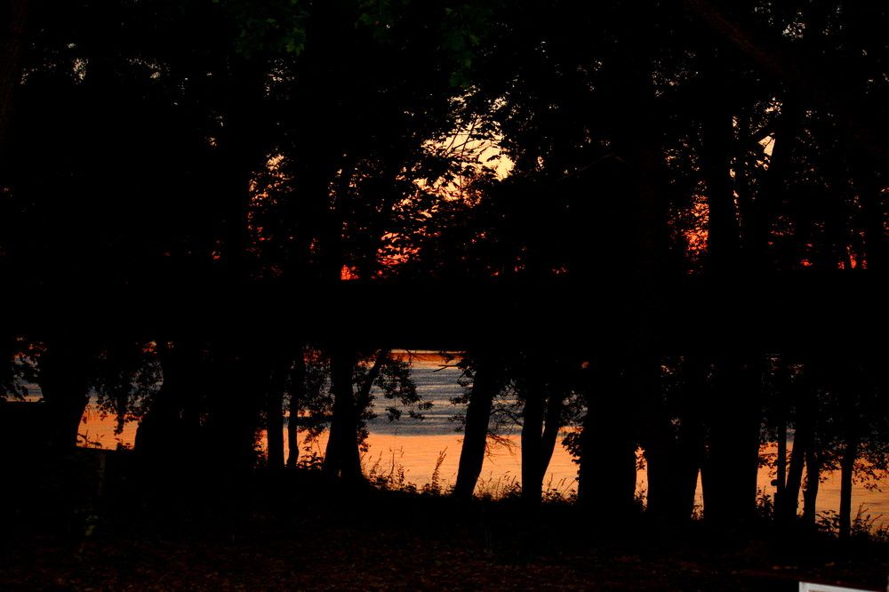 Photograph by Ольга Павлова