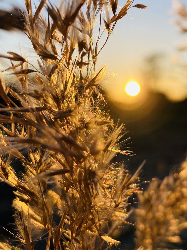 Photograph by Виктория Ярина