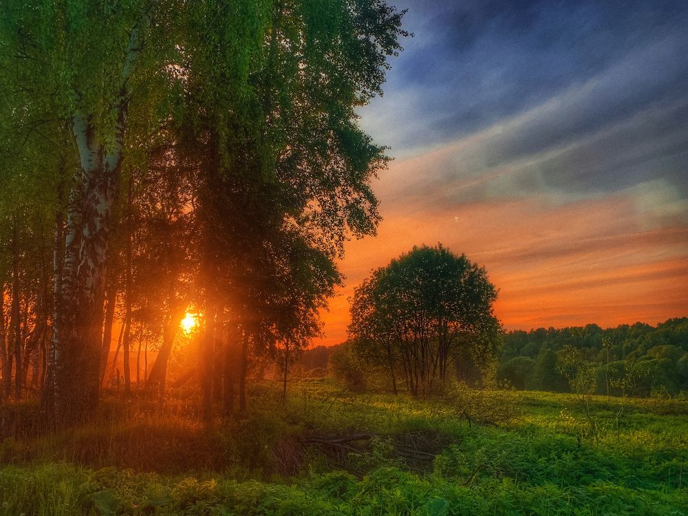 Photograph by Юлия Чиклеева