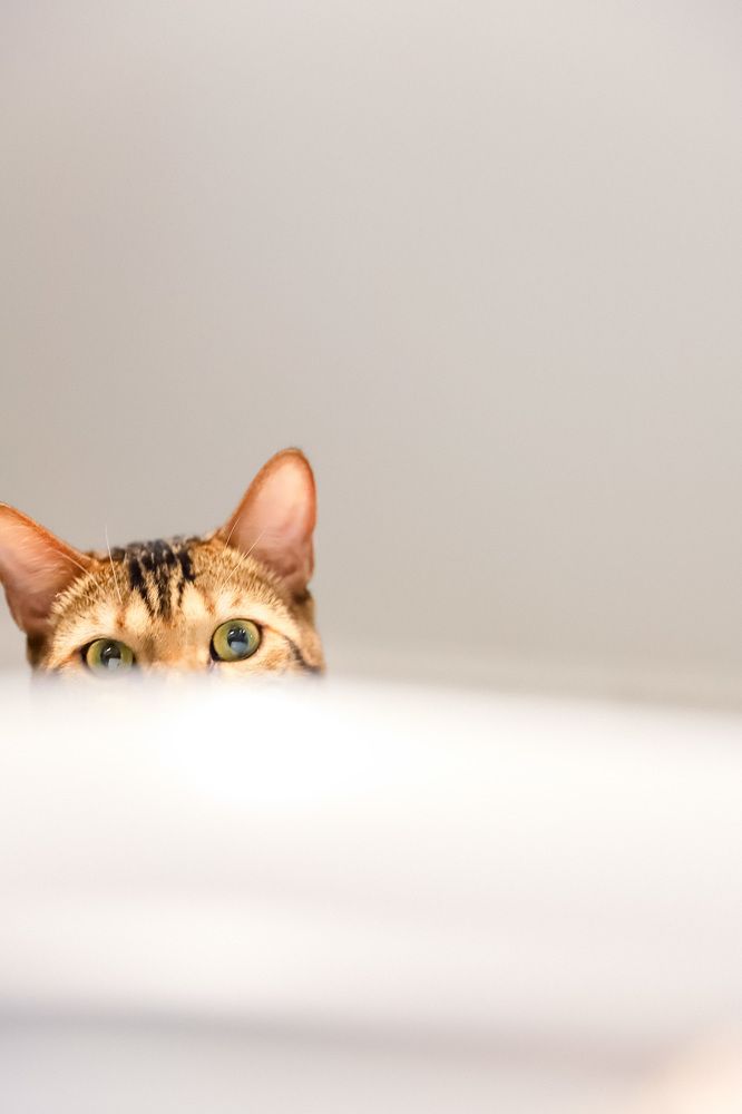 Photograph by Юлия Егорова