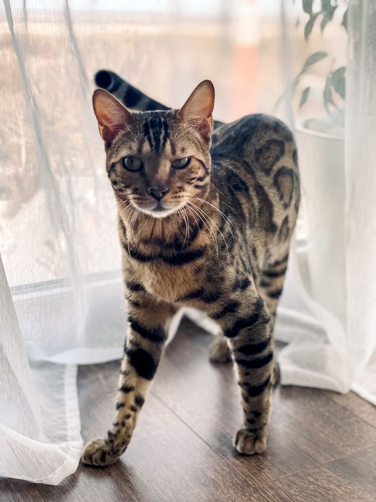 Photograph by Юлия Егорова