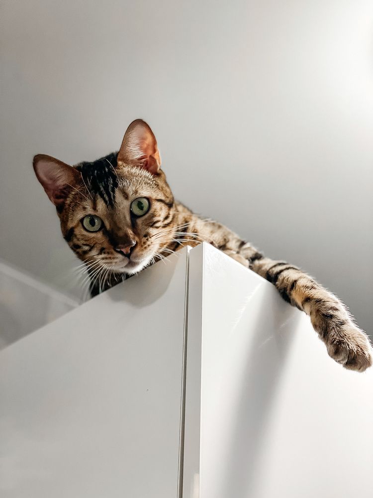 Photograph by Юлия Егорова