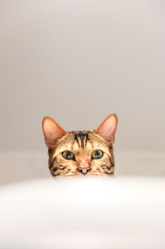 Photograph by Юлия Егорова