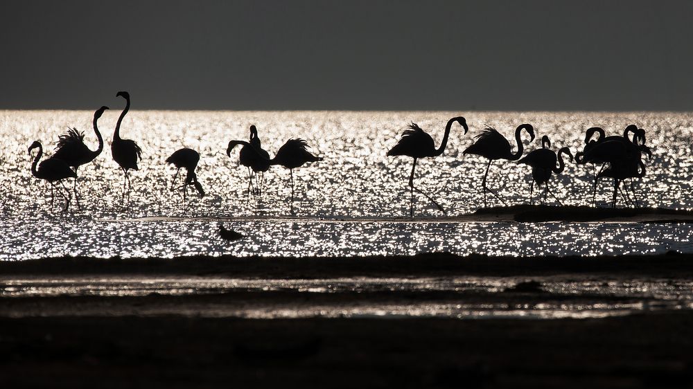 Photograph by mehdi mohebi pour