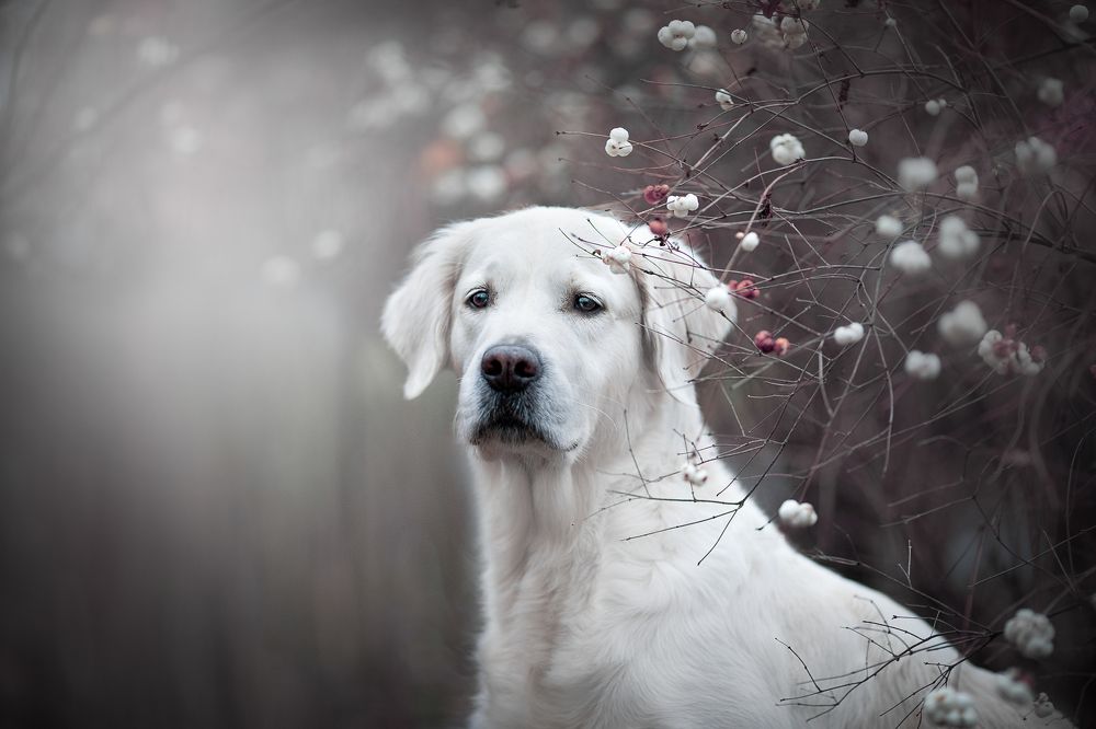 Photograph by Наталья Ляйс