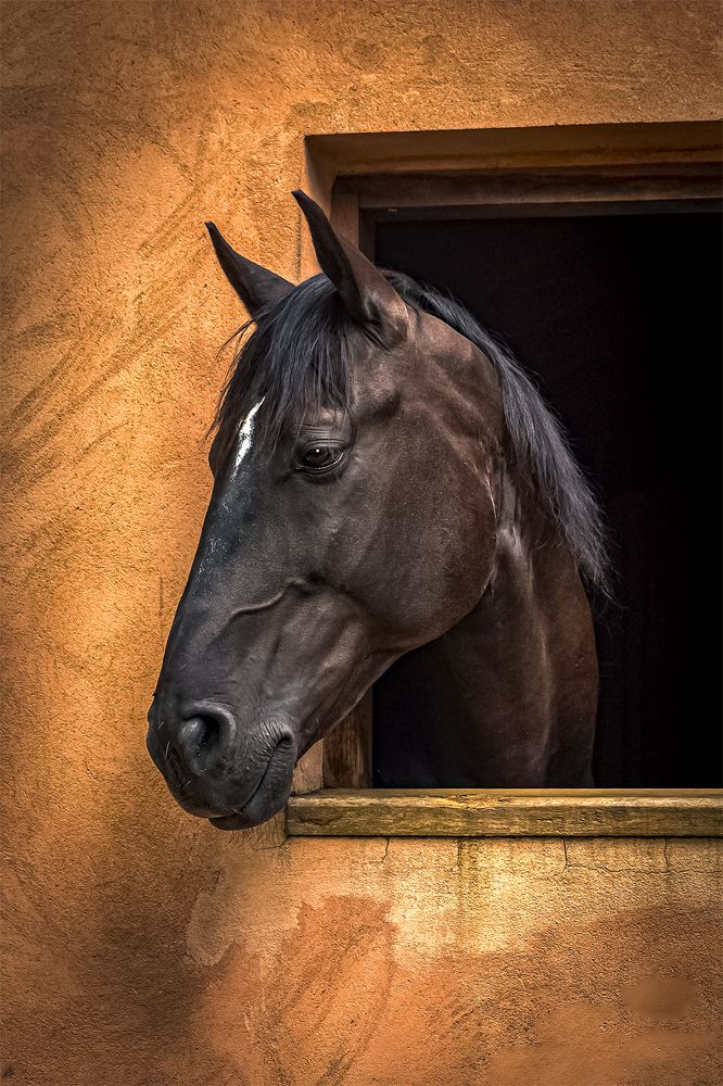 Фотография автора Valdevani Aprigio