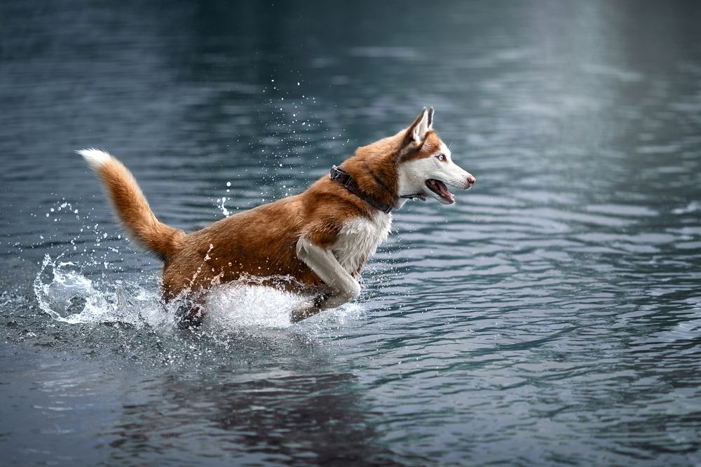 Фотография автора Наталья Ляйс