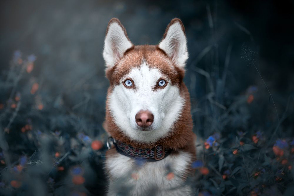 Фотография автора Наталья Ляйс