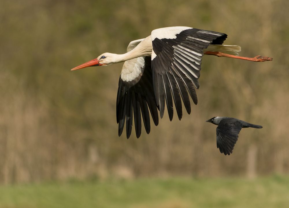 Photograph by Wendy Vanhoudt