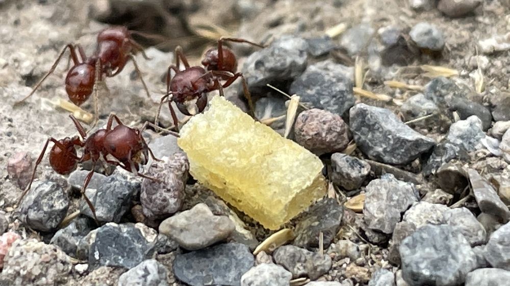 Photograph by Gerardo Jimenez