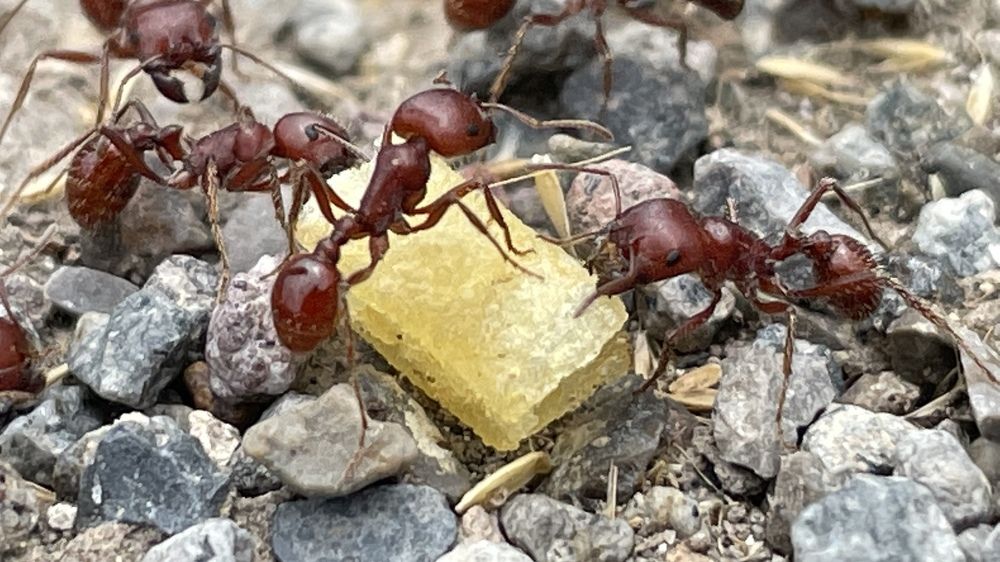 Photograph by Gerardo Jimenez