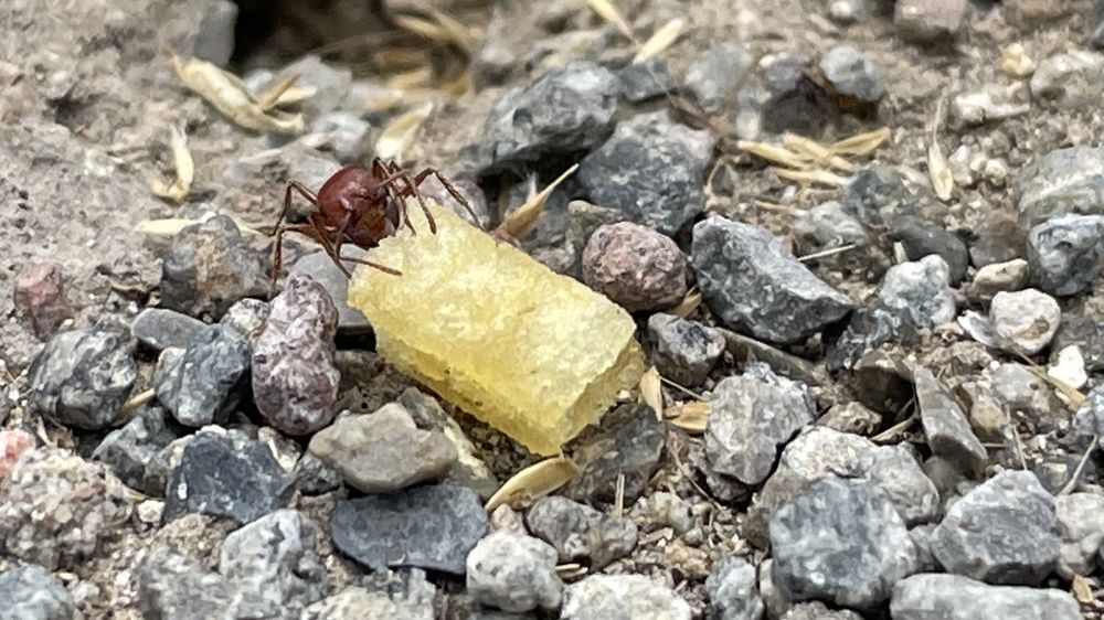 Photograph by Gerardo Jimenez