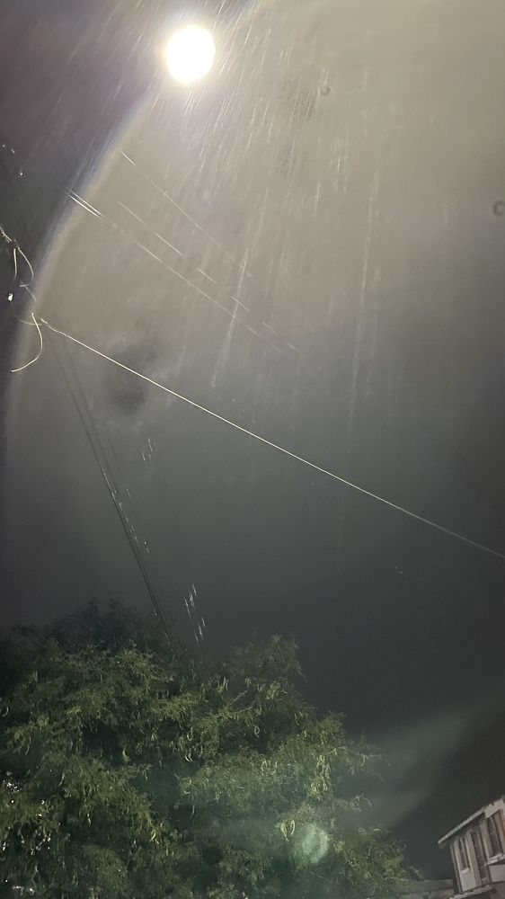 Photograph by Gerardo Jimenez