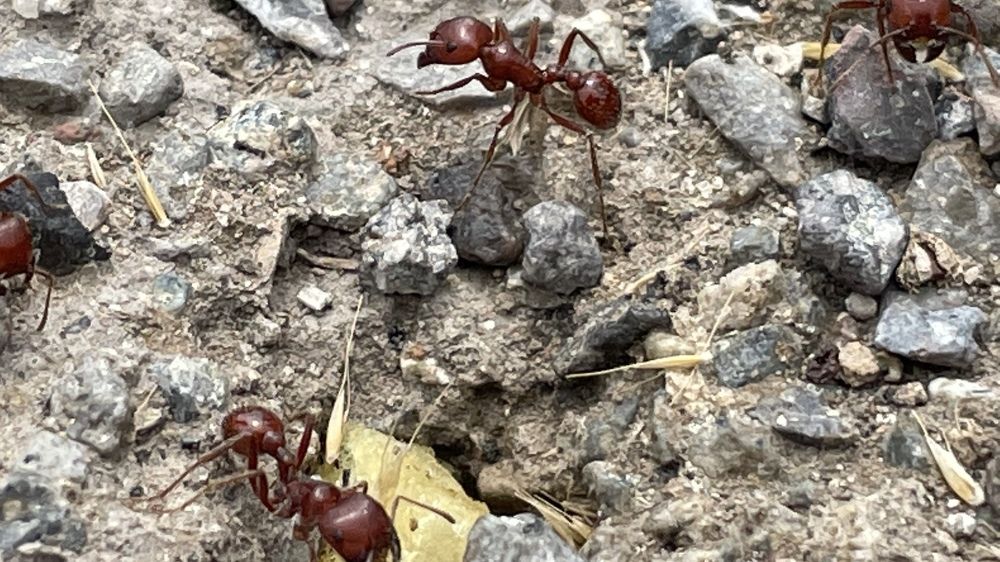 Photograph by Gerardo Jimenez