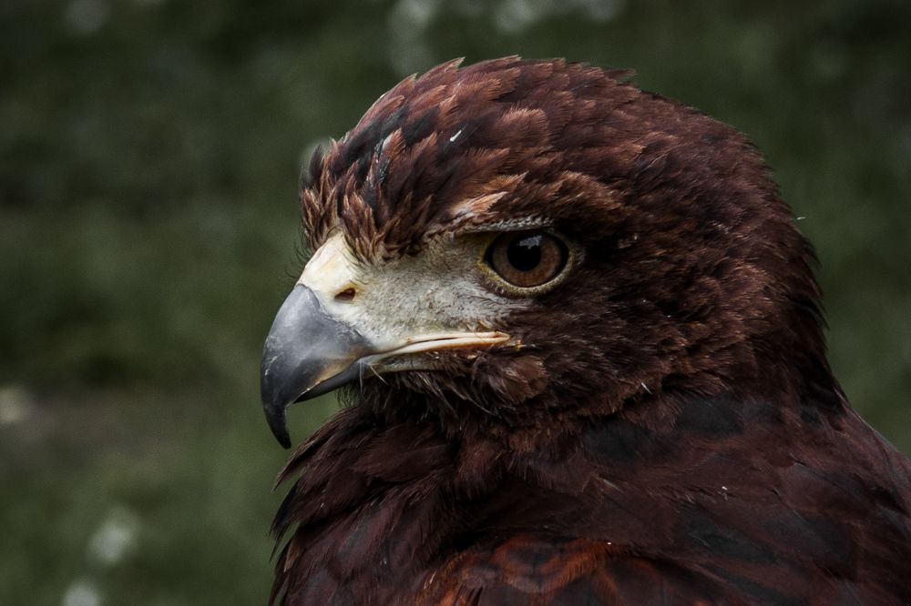 Photograph by Sergejs Barkans