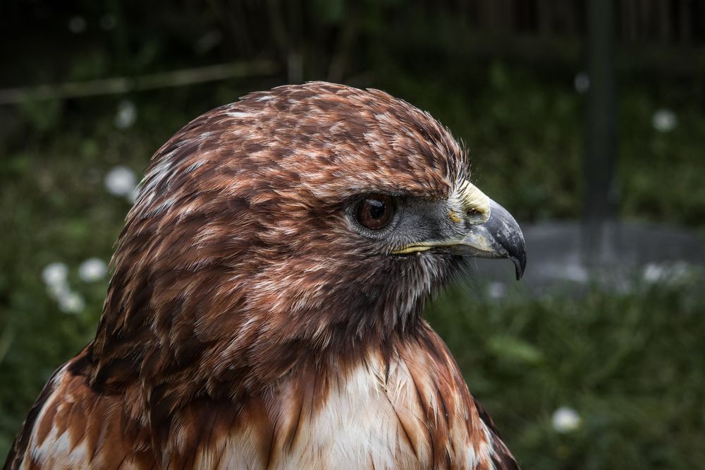 Photograph by Sergejs Barkans