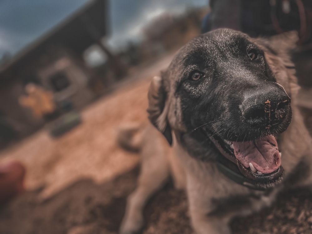 Photograph by Natalia Everatt