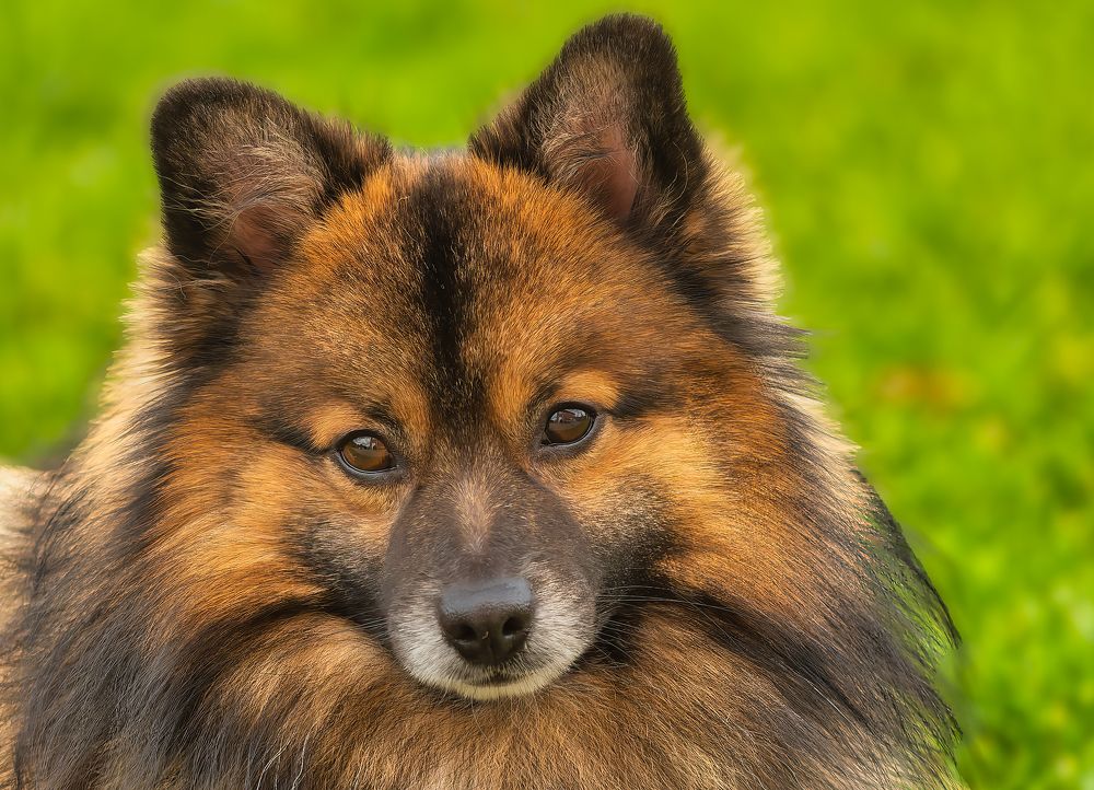 Photograph by Wendy Vanhoudt