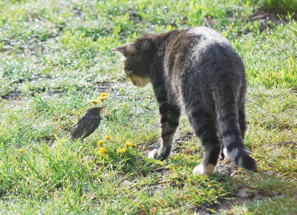 Момент истины.