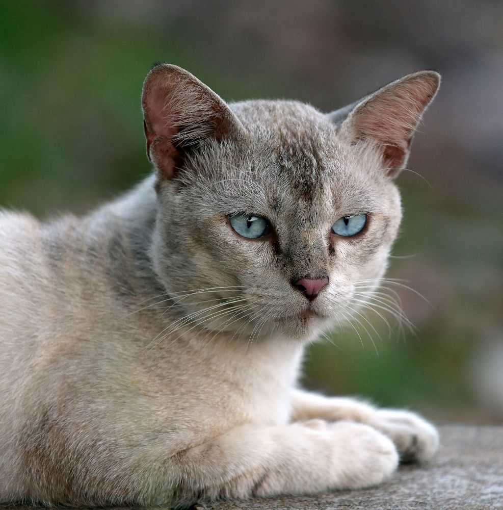 Photograph by Noor Azhar Abd Rasid