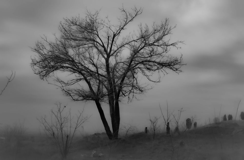 Photograph by Andre Beygijani