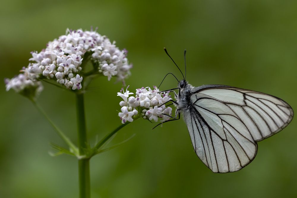 Photograph by Олег Тетерин