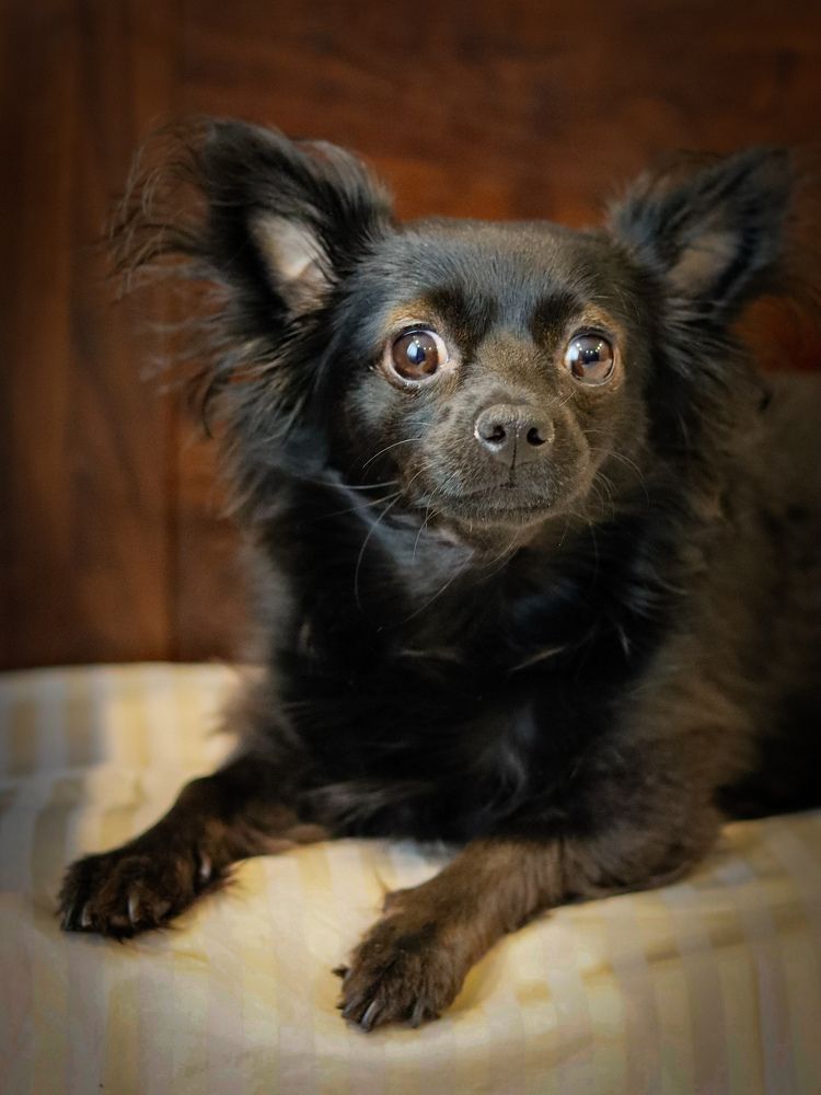 Photograph by Екатерина Слепнева