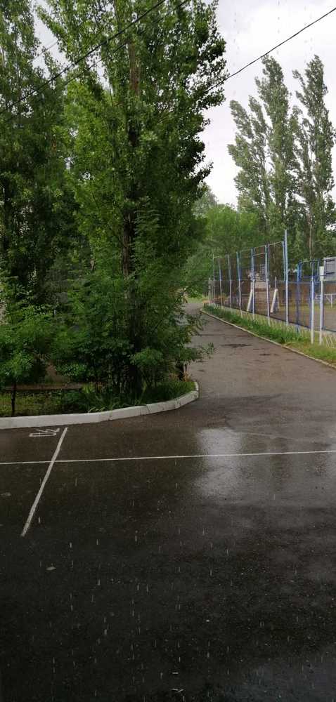 Photograph by Мила Мит