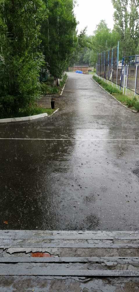 Photograph by Мила Мит