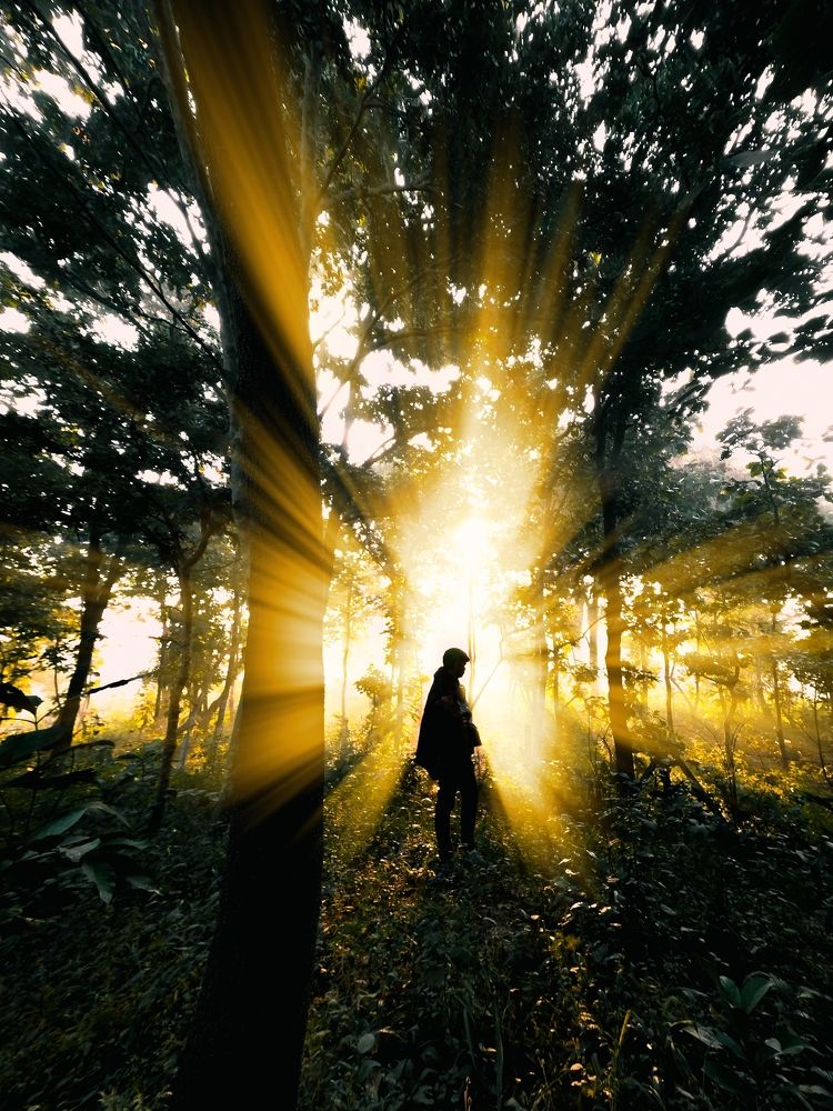 Photograph by ANKIT Sagar