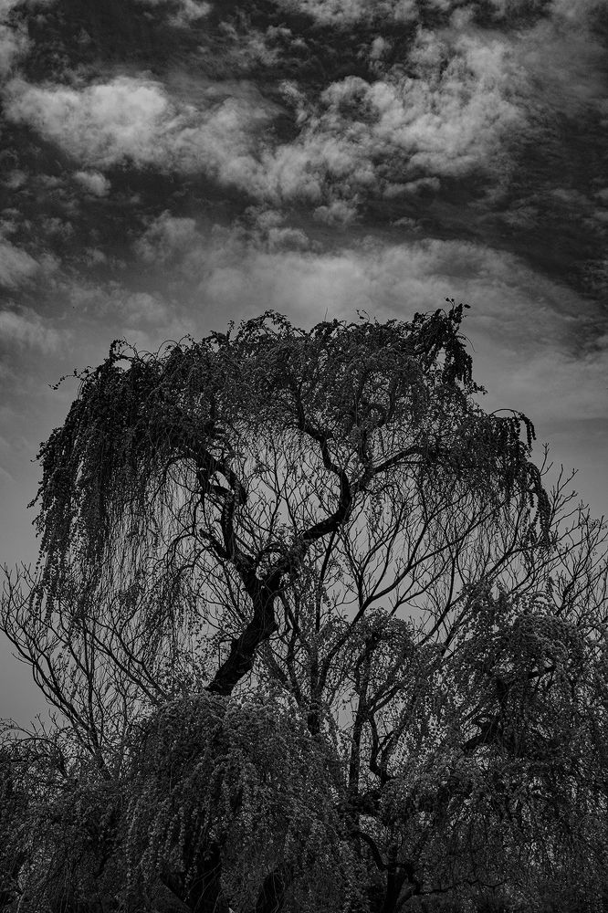 Photograph by Andre Beygijani