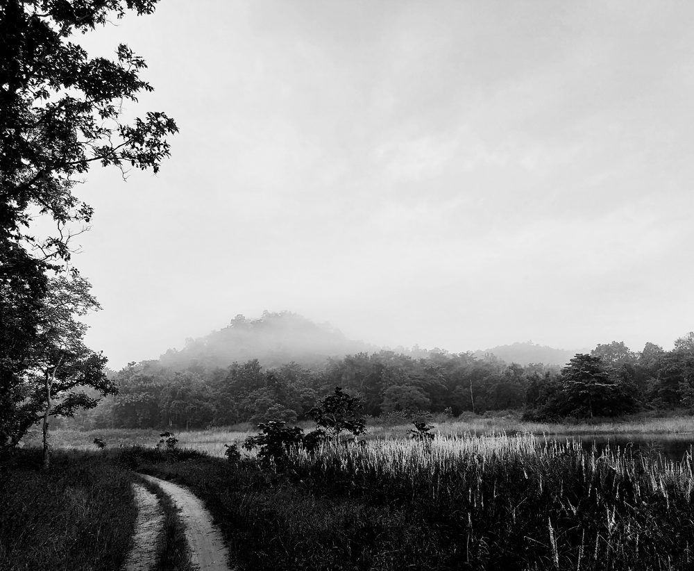 Photograph by Harsh Ghate