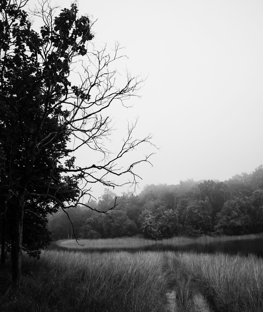 Photograph by Harsh Ghate