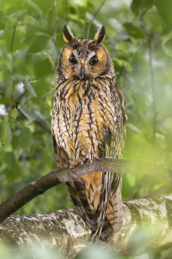 На страже правопорядка