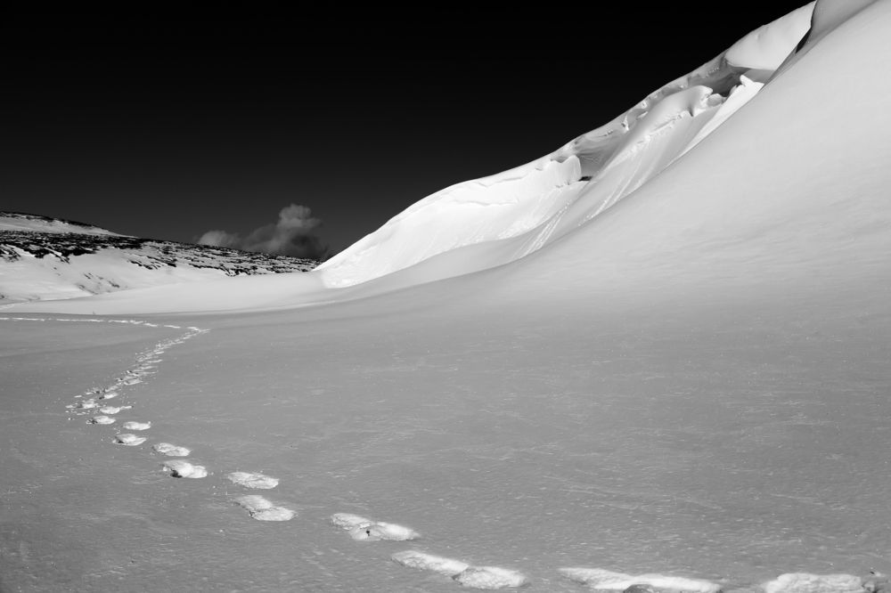 Фотография автора Дмитрий Уткин