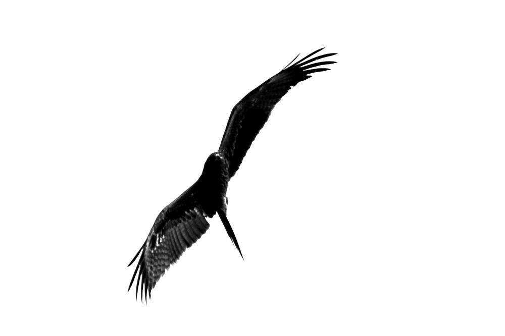 Photograph by Kushagra sahu