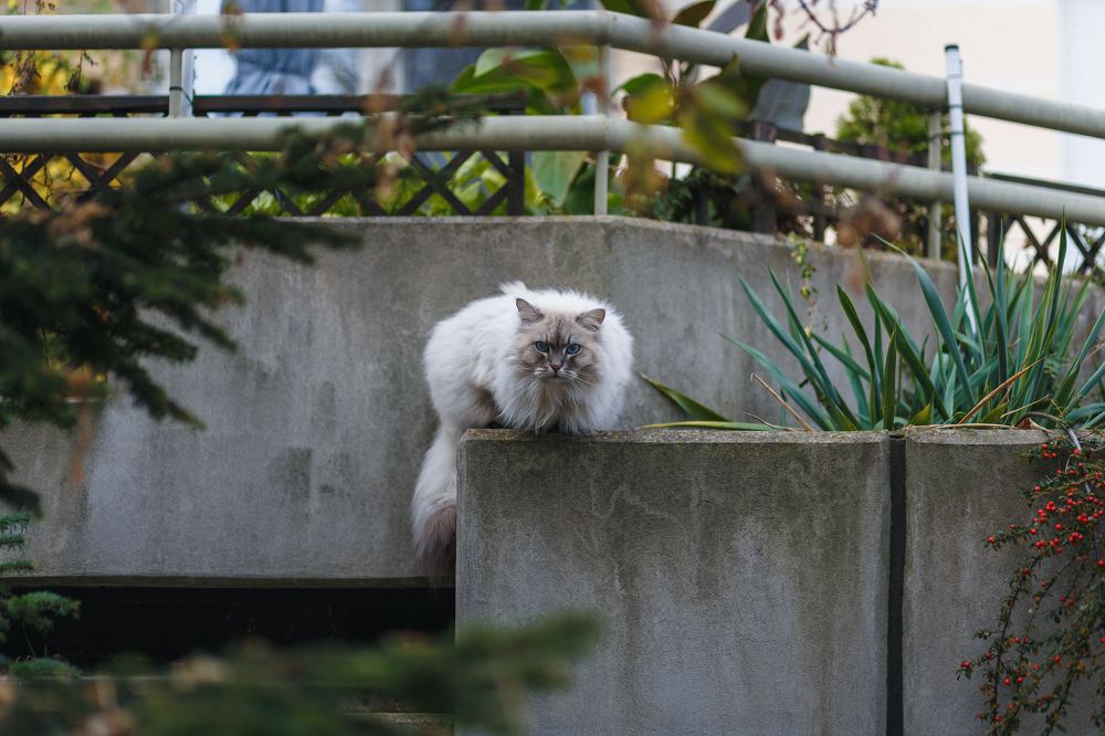 Photograph by Евгений Гребенчук