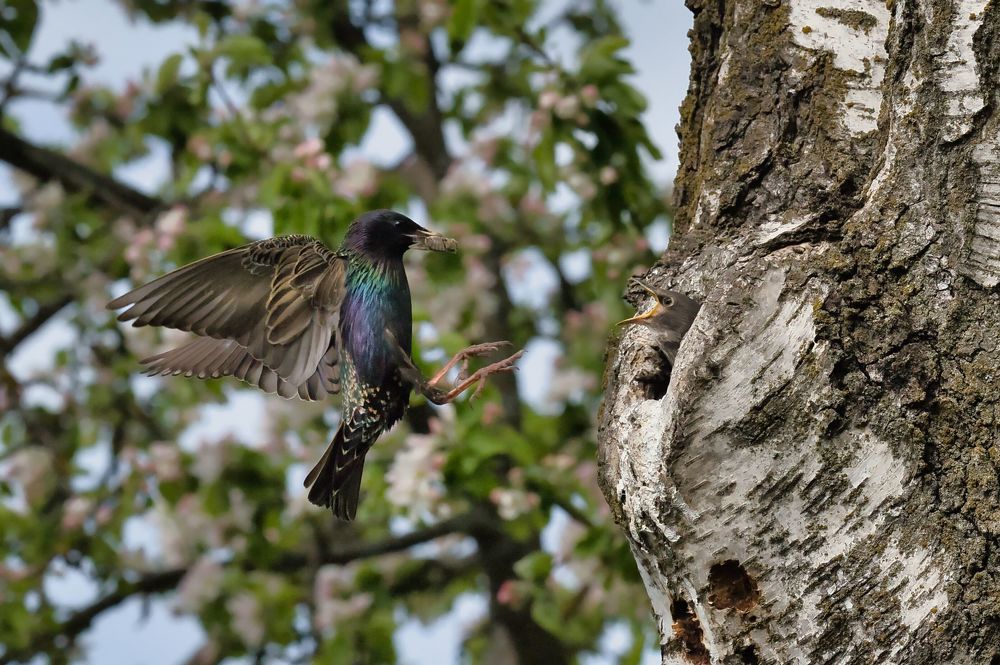 Photograph by Евгений Рощин