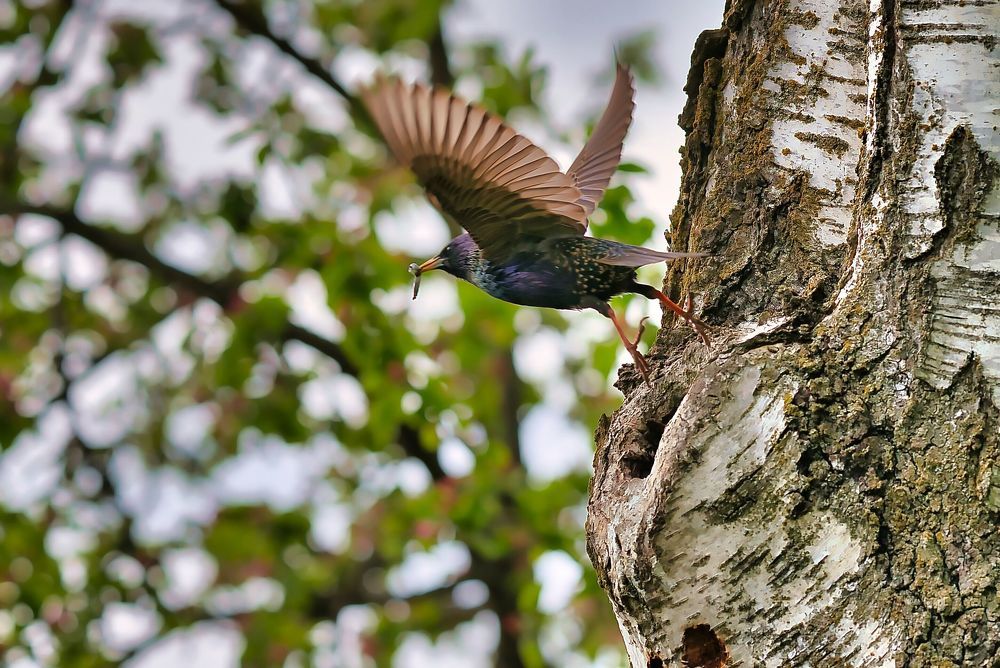 Photograph by Евгений Рощин