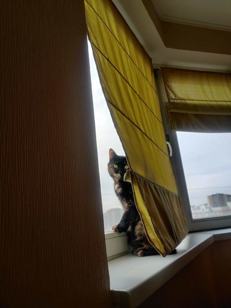 Фотография автора Марина Карасева