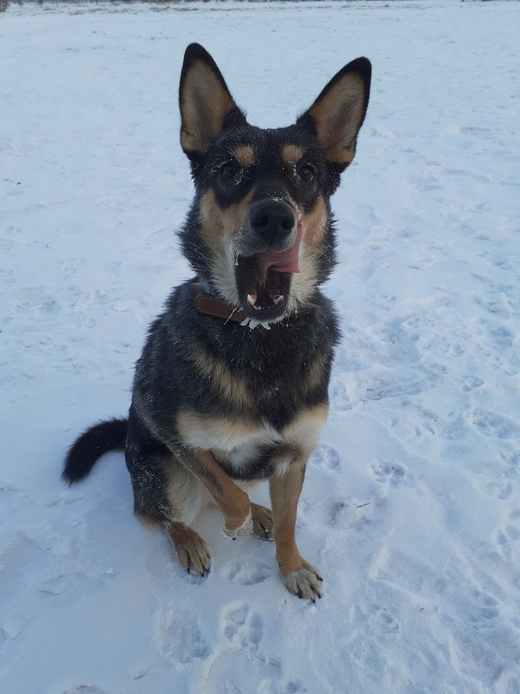 Photograph by Иван Донченко