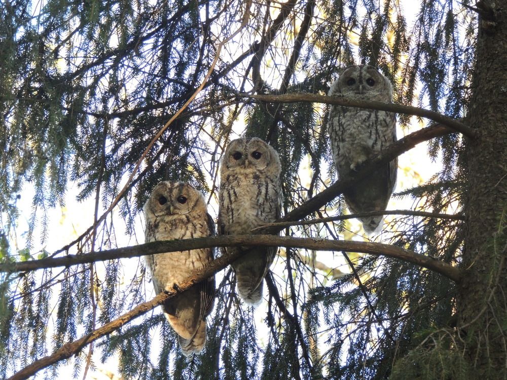 Хорошо сидим)