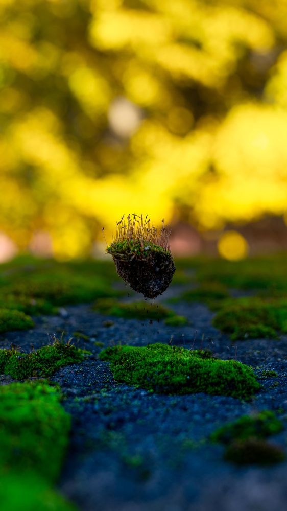 Photograph by Oleg Kozachok