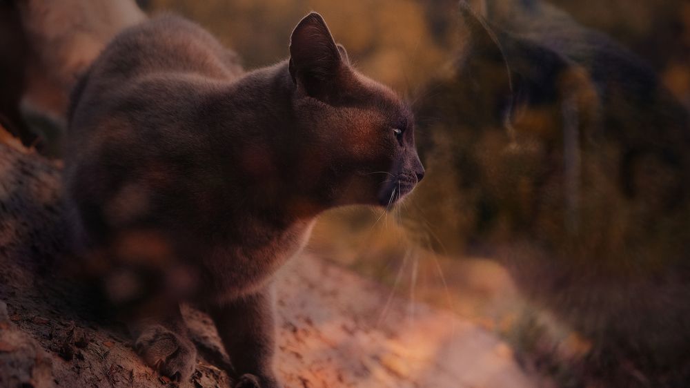 Photograph by Snow Vadim