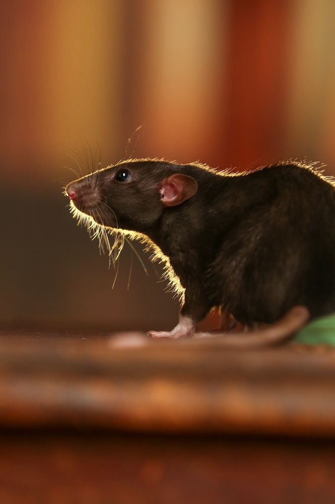 Photograph by Ирина Овчинникова