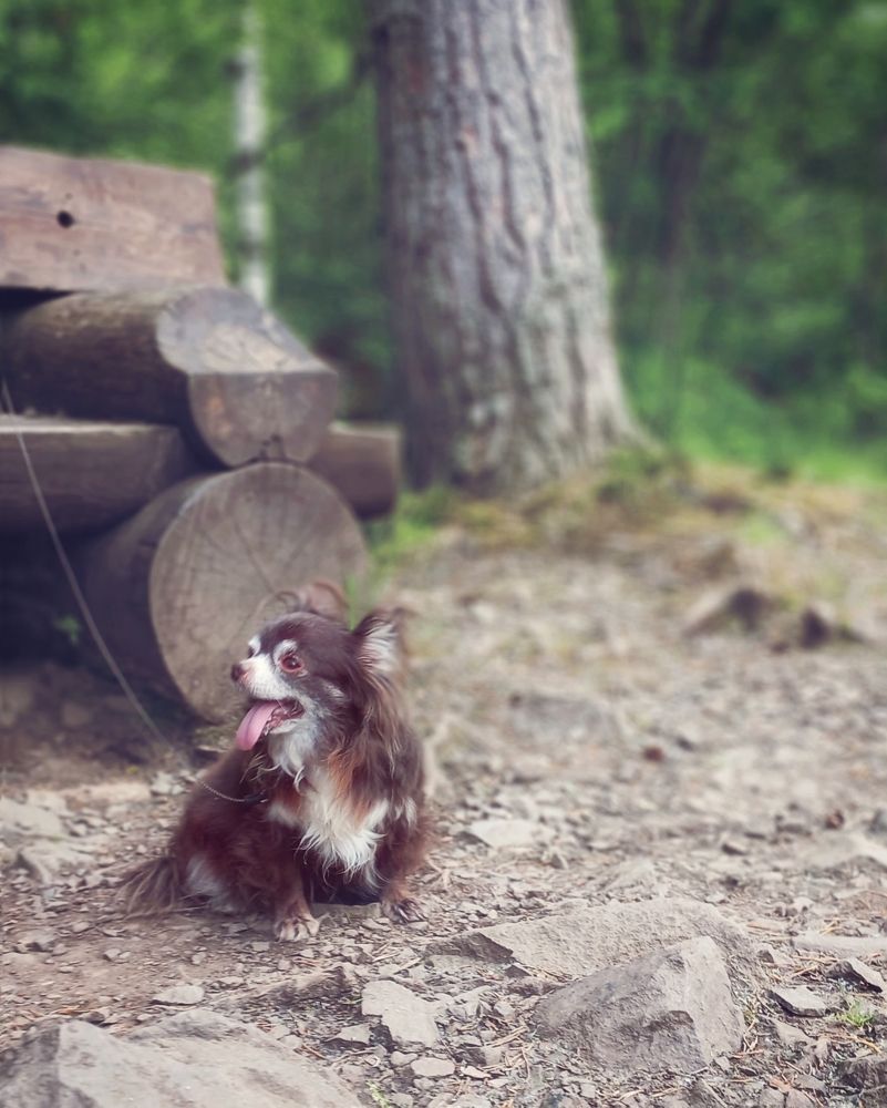 Photograph by Люда Яковлева