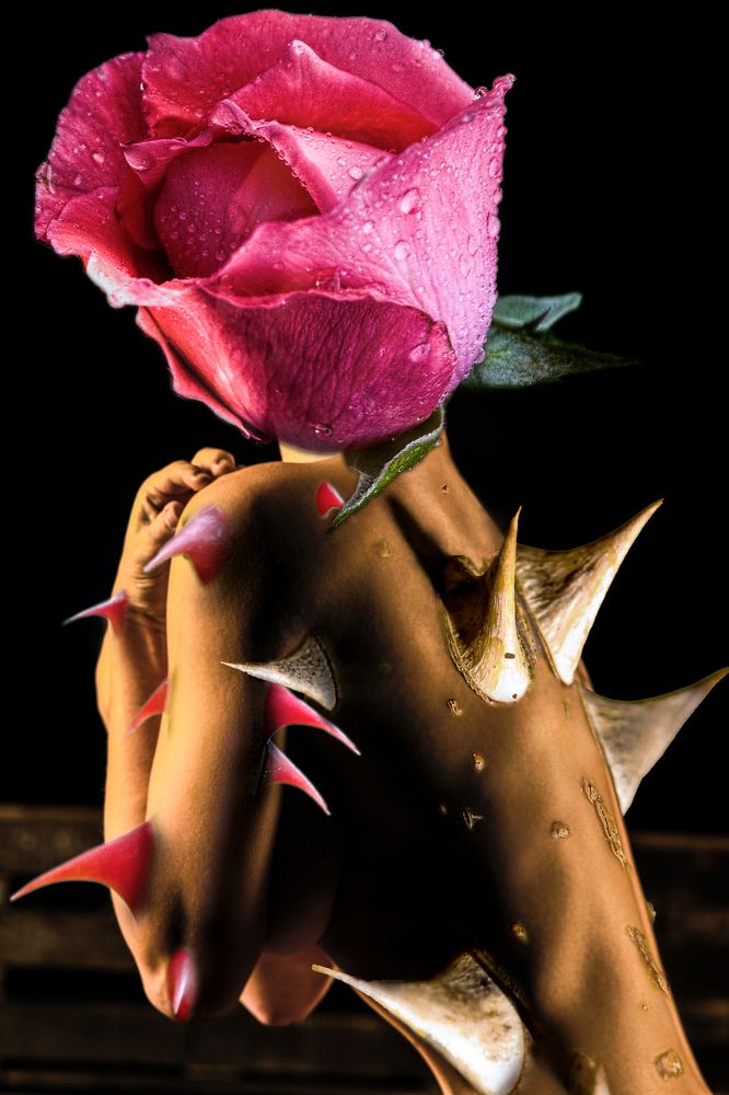 Reaction to the outside world