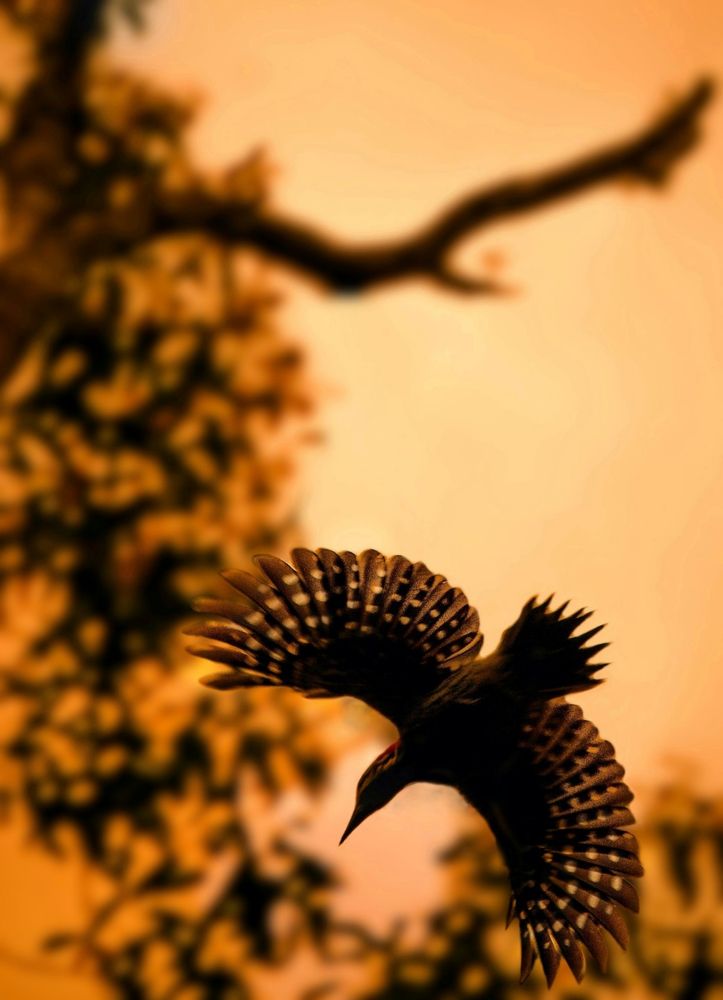 Photograph by Joyal S