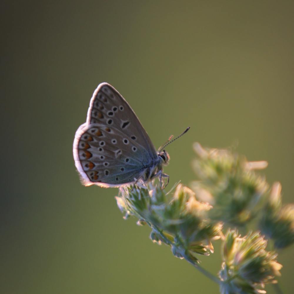 Photograph by Анна Терейковская